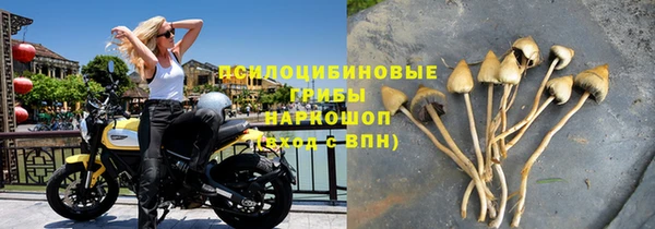 гидропоника Тавда