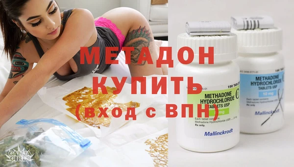 прущие грибы Тайга