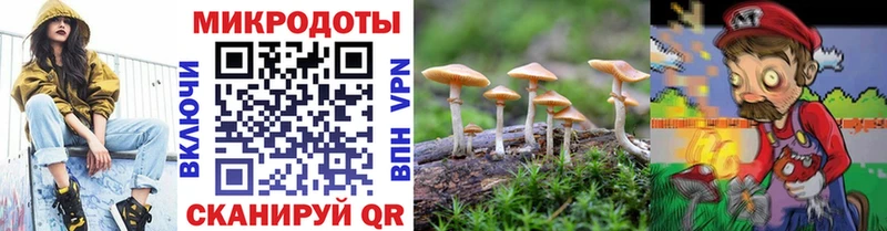 Галлюциногенные грибы прущие грибы  Невель 